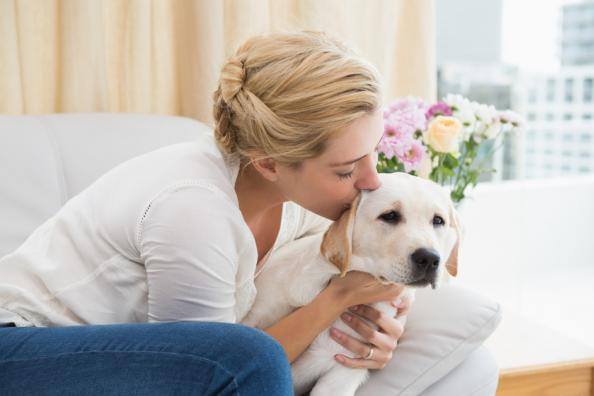 Cómo enseñar a tu perro a no hacer sus necesidades en la casa