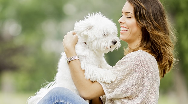 Ventajas de tener un perro pequeño